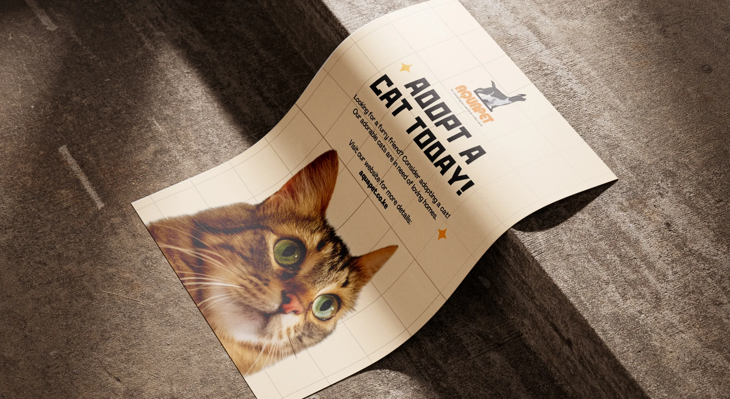 AquaPet Promotional Poster