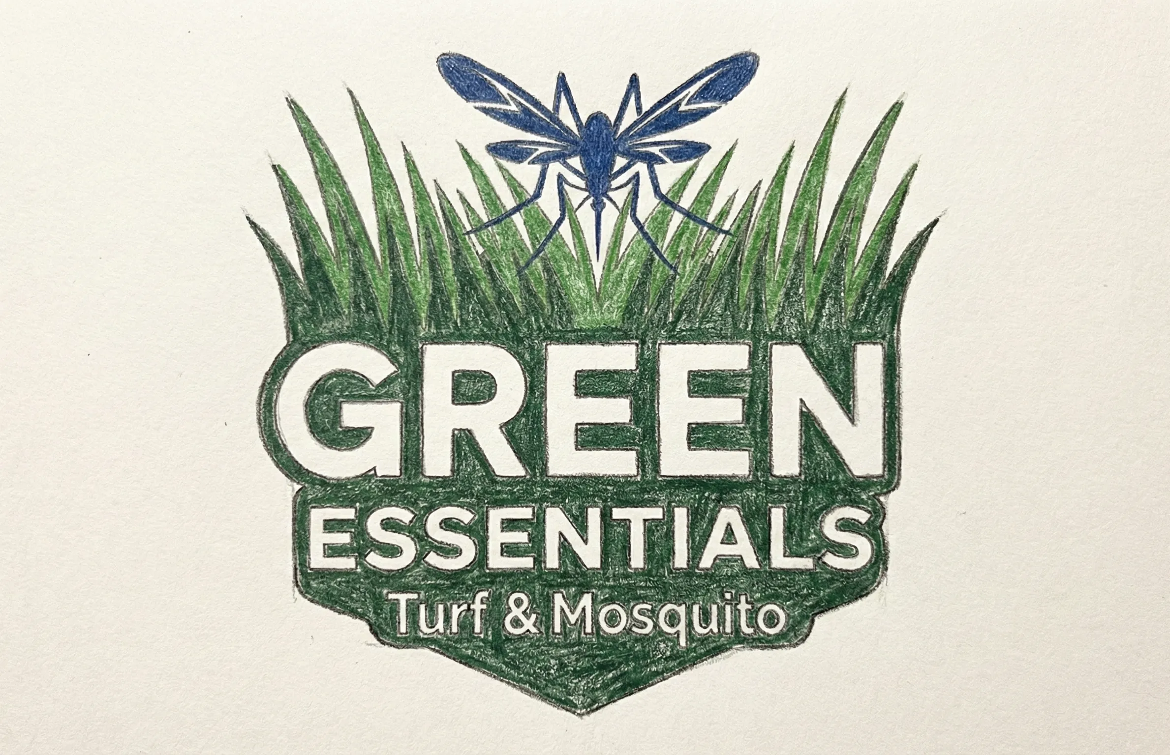 Green Essentials Color Sketch